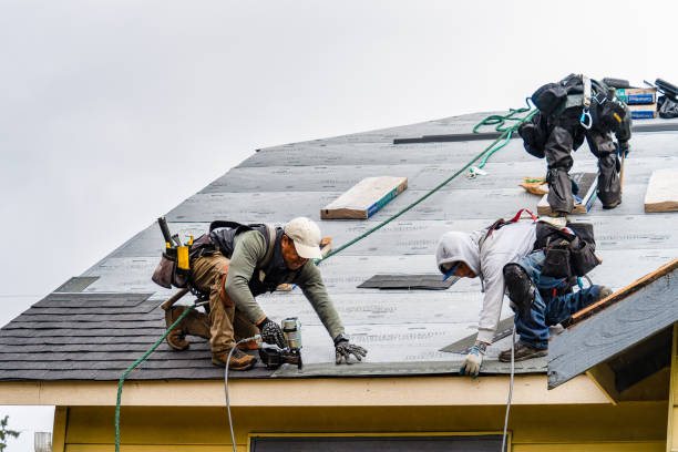 Professional Storm Damage Roof Repair technician working in Dalbo, MN