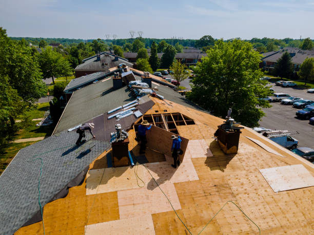 Trusted Roof Replacement service in Dalbo, MN - Brentwood Metal Roofing